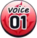 Voice01